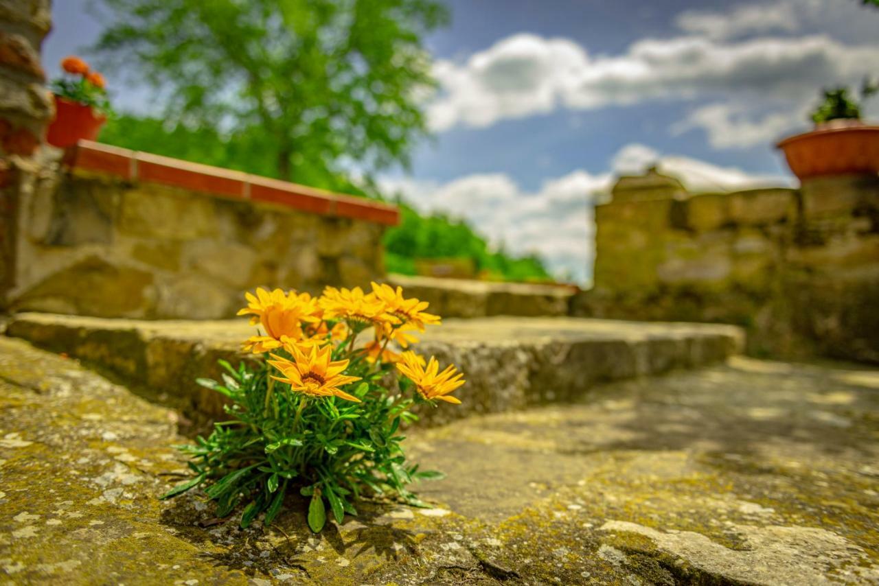 Penzion Casa Al Bosco SantʼEllero Exteriér fotografie